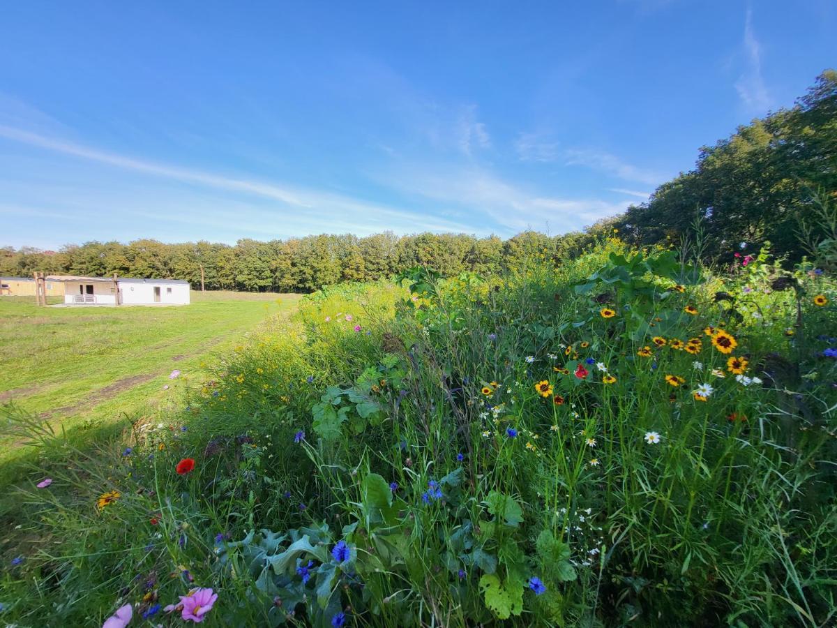 Hoeve Twente - De Bonte Specht Villa Heythuysen ภายนอก รูปภาพ