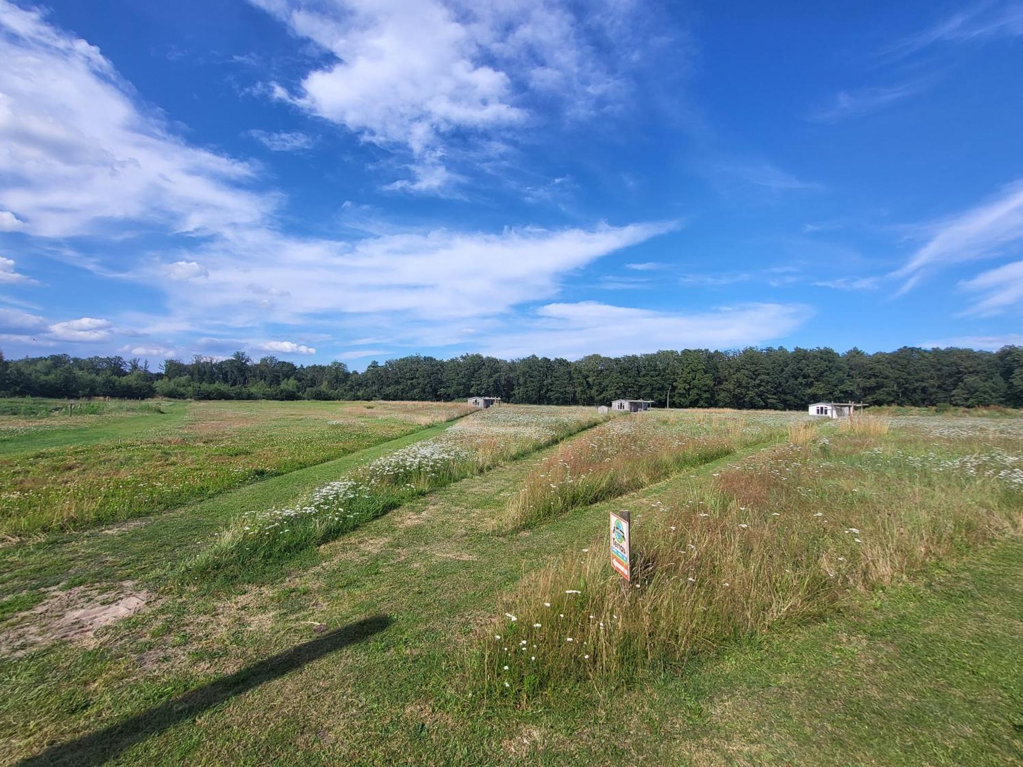 Hoeve Twente - De Bonte Specht Villa Heythuysen ภายนอก รูปภาพ